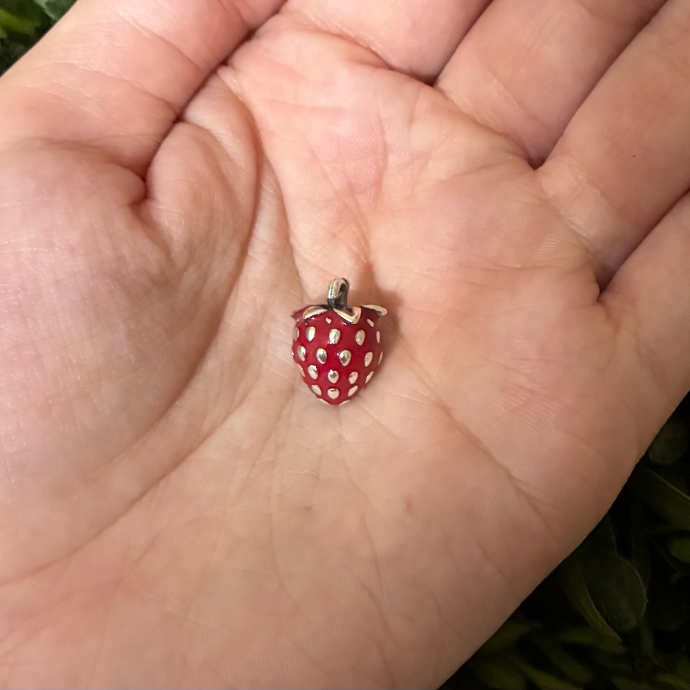 James Avery Enamel Wild Strawberry Charm